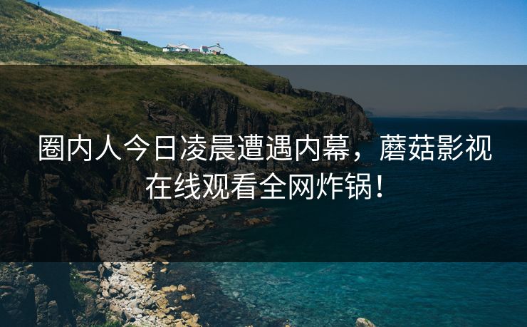 圈内人今日凌晨遭遇内幕，蘑菇影视在线观看全网炸锅！