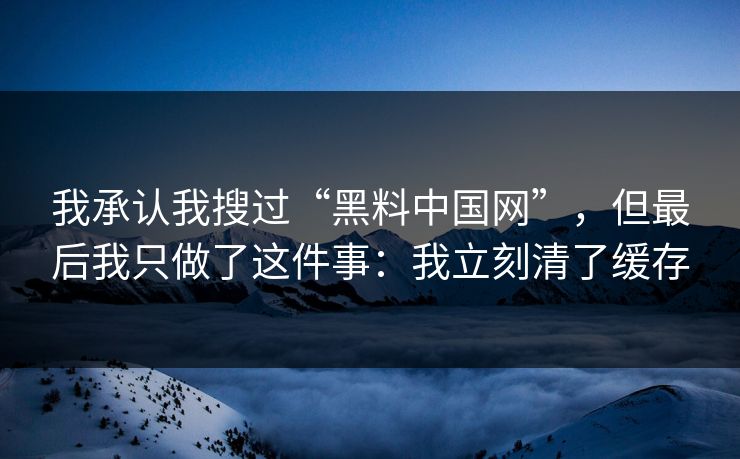 我承认我搜过“黑料中国网”，但最后我只做了这件事：我立刻清了缓存